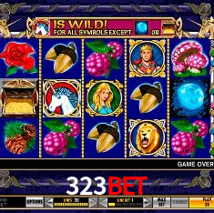 323Bet São Paulo - All Bonuses