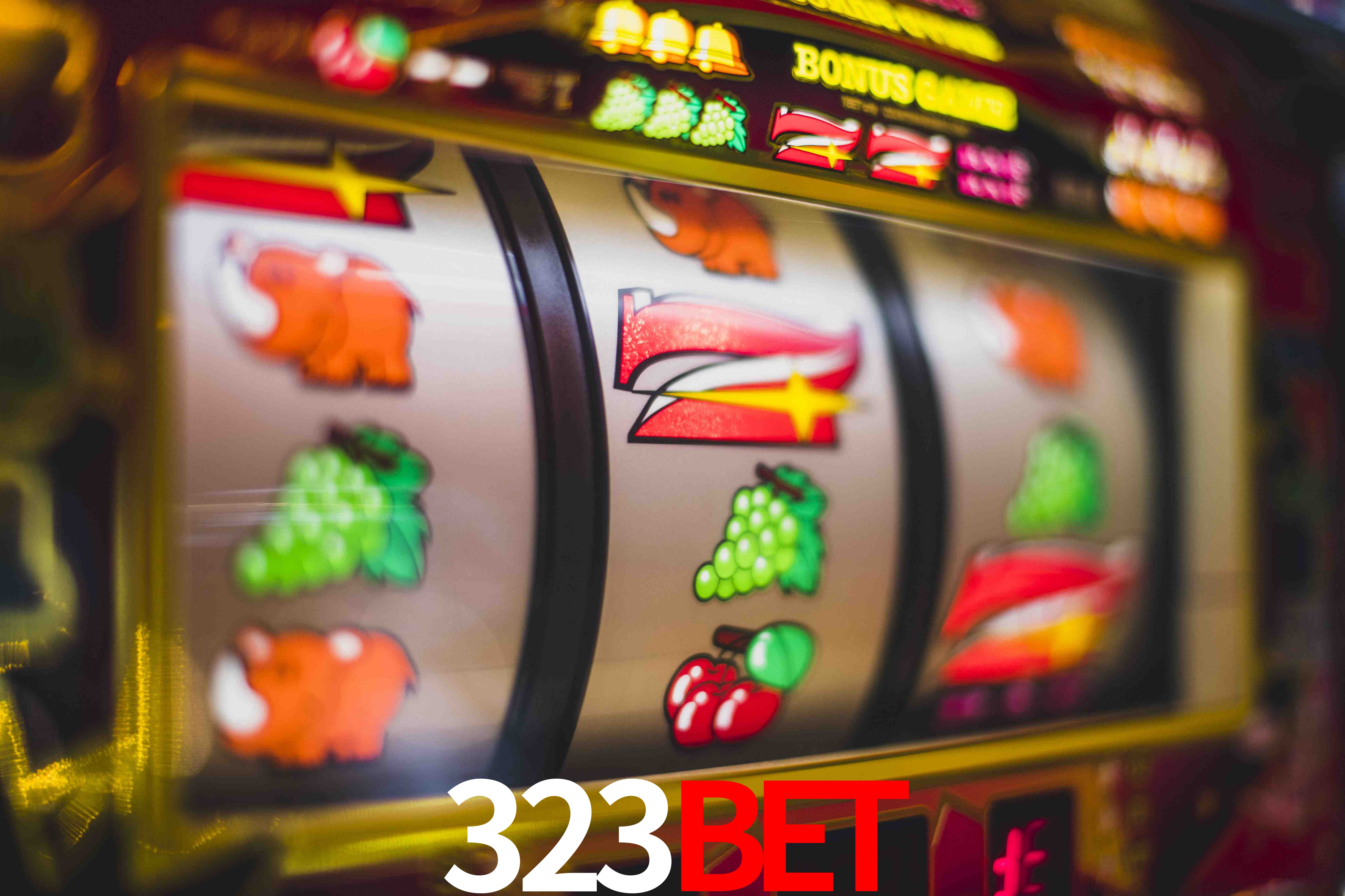 Statistics 323Bet